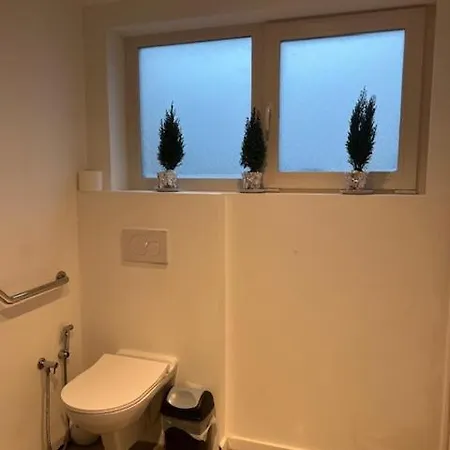 Cosy 招待所 *